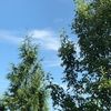 tanya360